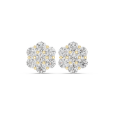 Eden Diamond Earring